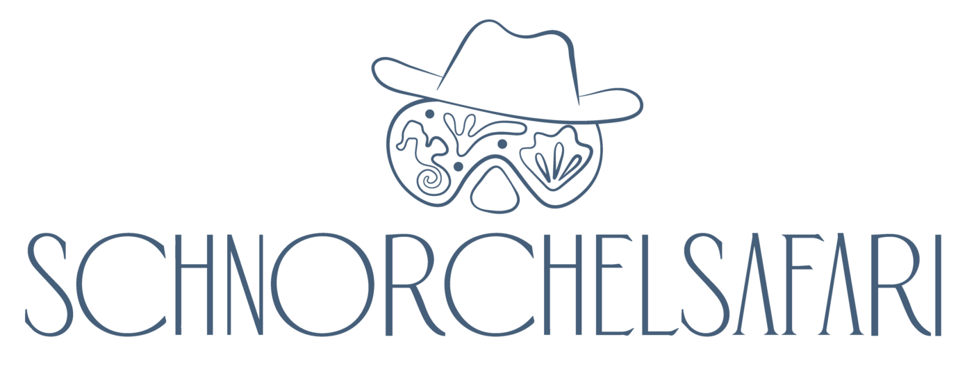 Schnorchelsafari